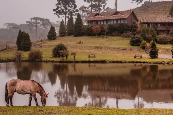 CLIMA DE SERRA EM CAMBARÁ DO SUL