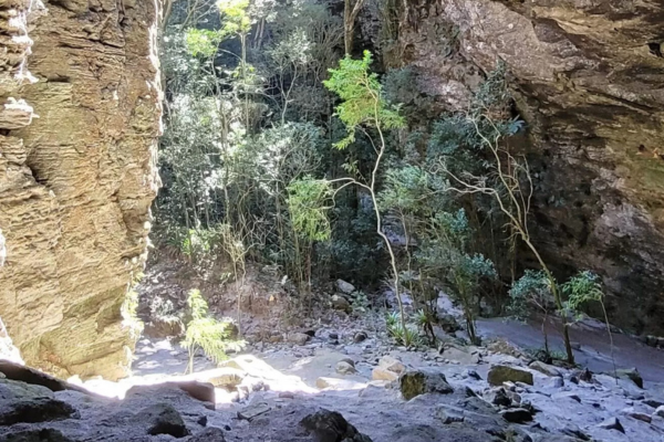 pARQUE DE iBIOCA
