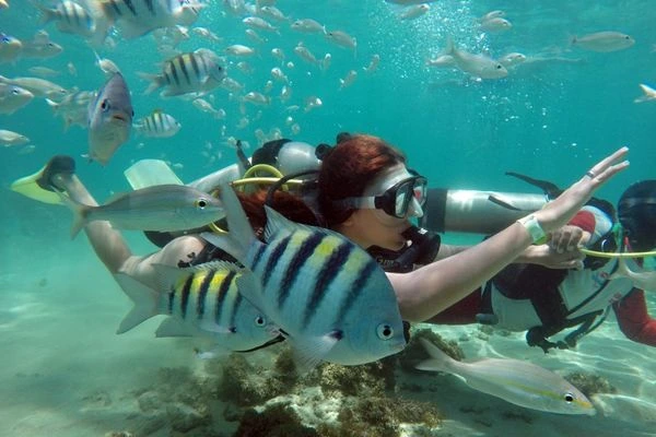 mULHER MERGULAHNDO EM AGUAS CRISTALINAS EM MEIO A PEIXES