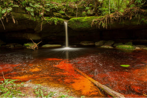 PARQUE DO JAÚ, NA AMAZÔNIA